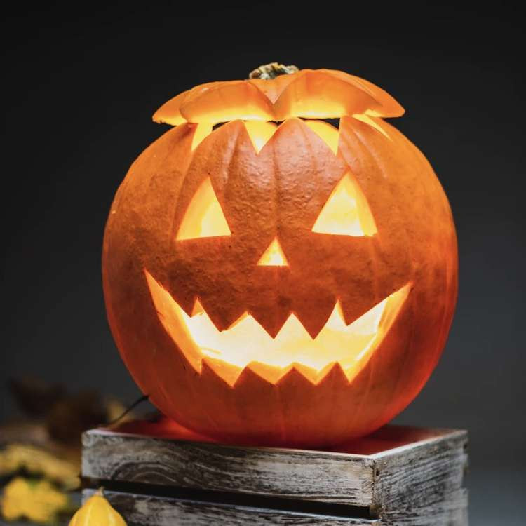 Letchworth: Enjoy half term fun with town centre Halloween trail