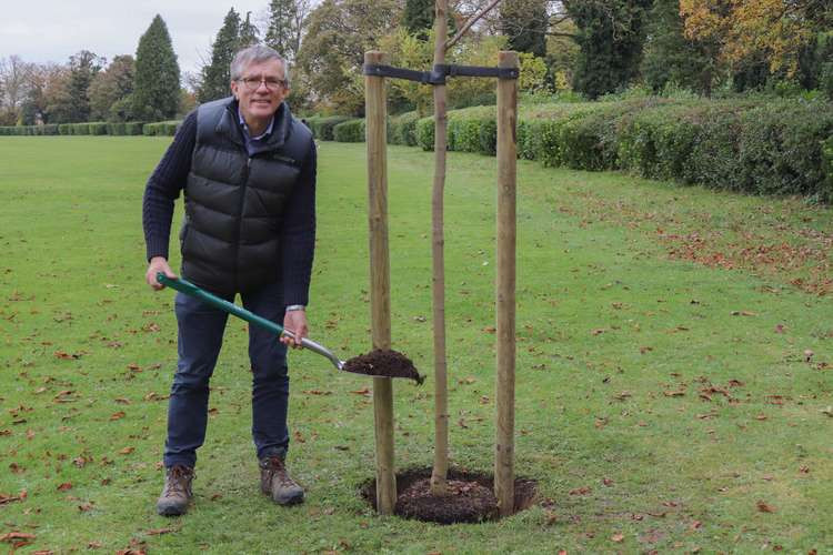 Plant a tree in Letchworth to help tackle climate change and create COP26 legacy. PICTURE: Councillor Steve Jarvis