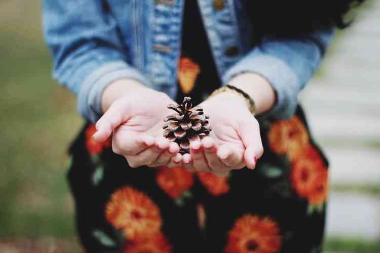 Pinecone in hand