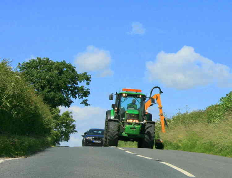 Verge cutting will start in May around Wells (Photo: Maurice Pullin)