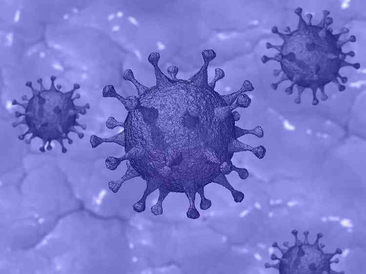 Three people in the Wells area have died after contracting coronavirus