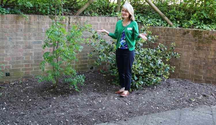 Julie Hanks with one of the gardens needing new life