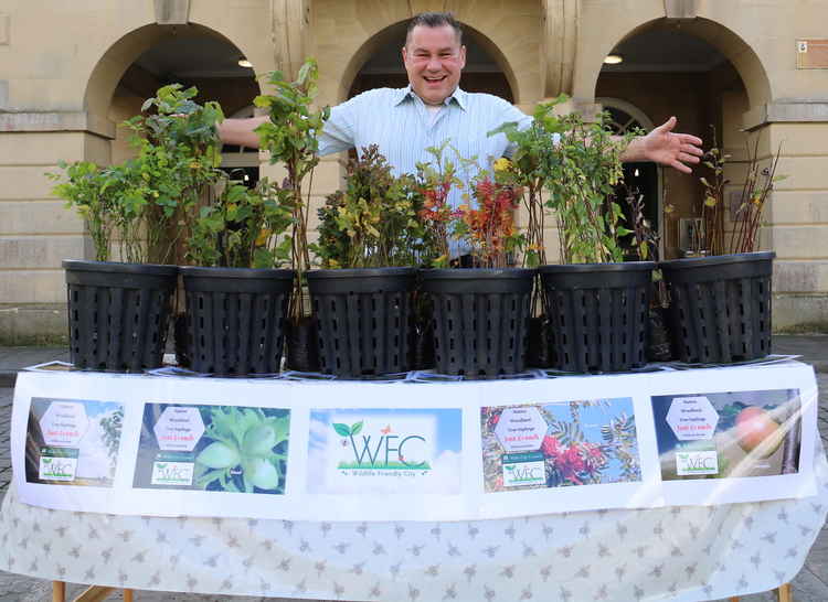 Councillor Joe Parker with samples of his bargain saplings