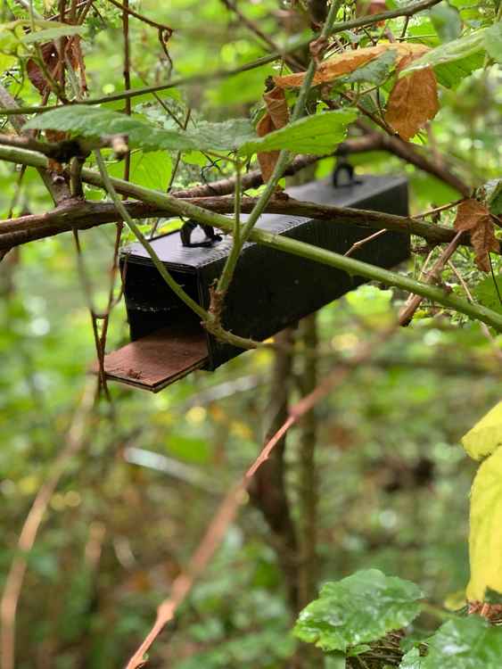 One of Bristol Water's dormice traps which were set up three months prior to the work