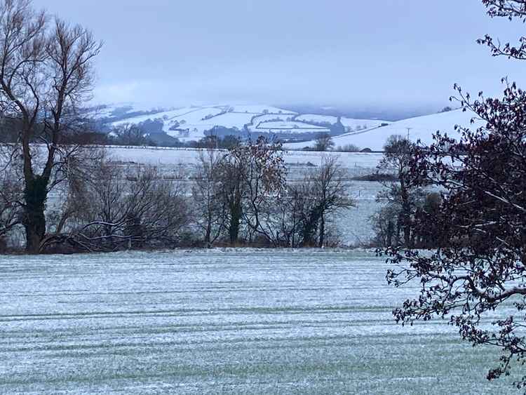 The view in Coxley