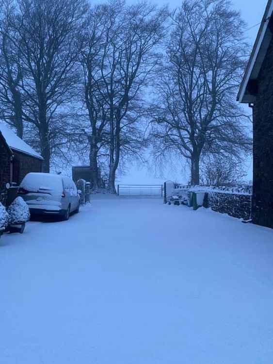 Snow in East Harptree (Photo: Christopher Wookey)