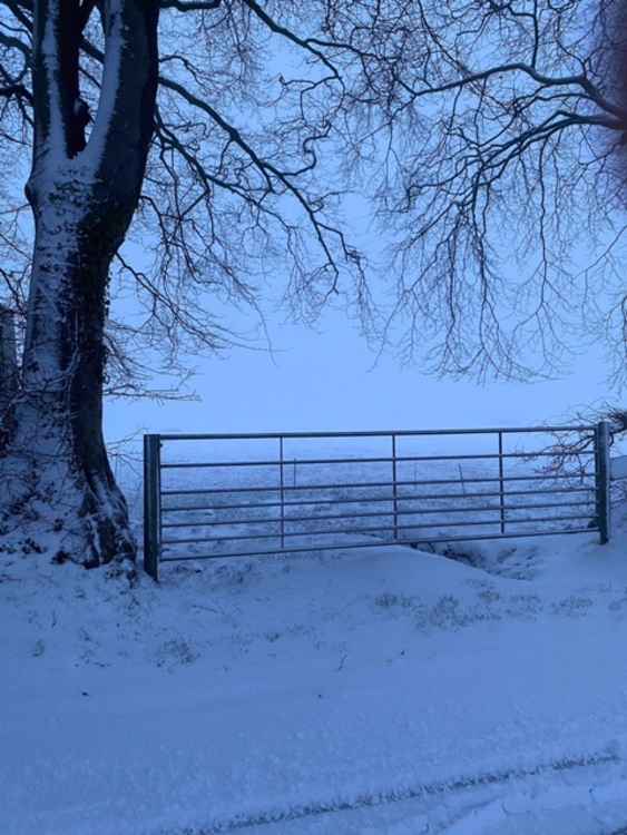 The scene at East Harptree (Photo: Christopher Wookey)