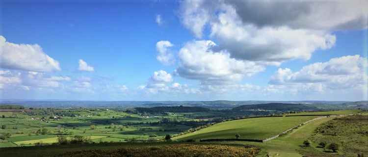 Mendip Hills view