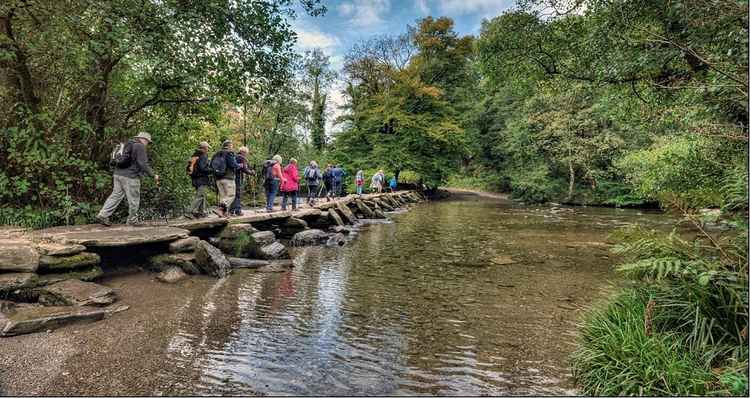 Tarr Trek by Jeff Hutson