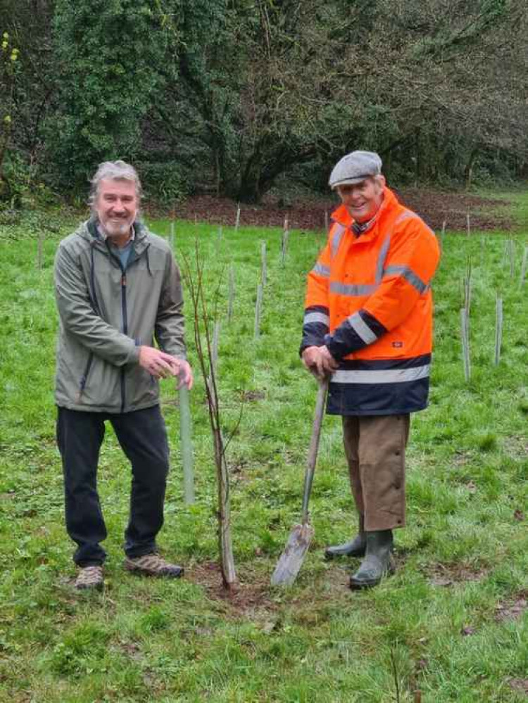 Joint effort: Mendip District Council's Councillor Tom Ronan and Binegar parish councillor John Scadding plant trees. Mendip donated tree whips to the parish to help it with its flood prevention measures.