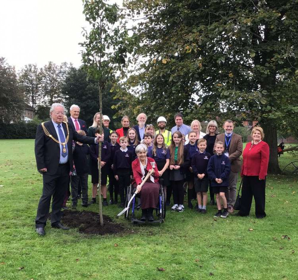 The planting of the tree at St Cuthbert's Junior School in Wells