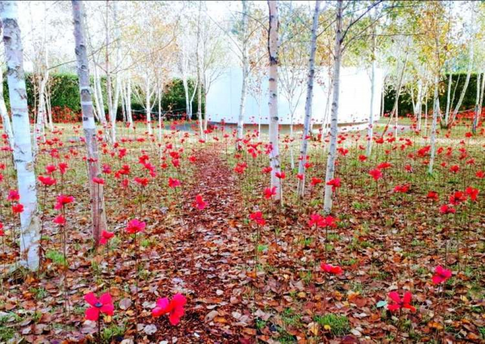 The Somerset Poppies will be on display at the Bishop's Palace in Wells all weekend