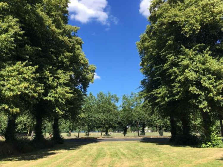 Wandsworth Common // Image: Wandsworth Council