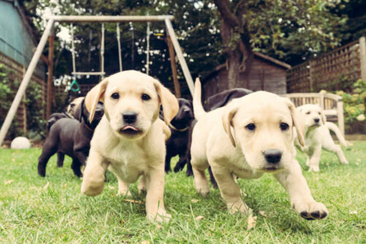 Group pic: Working with bands has prepared Neill to take on this gang (https://www.shootthehound.com)