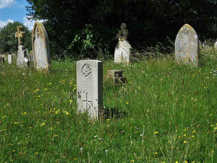 Wildflower work at Fordington Cemetery in the summer