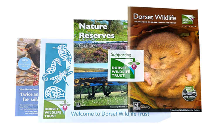 Dorset Wildlife Trust membership pack Picture: Dorset Wildlife Trust