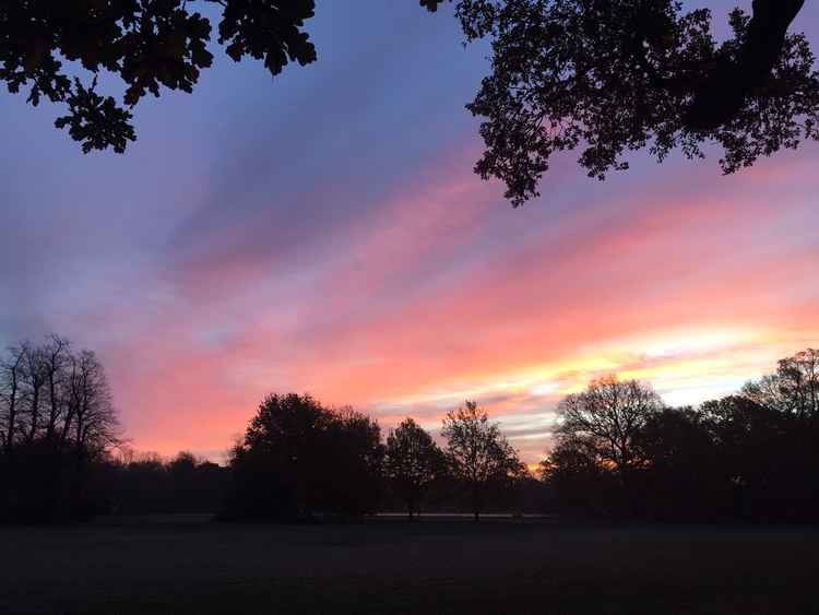 Tooting Common || FOTC competition entry for October to December