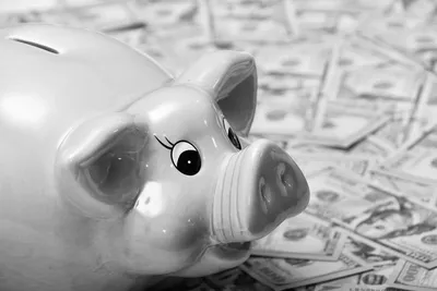 A glossy ceramic piggy bank lying on a spread of scattered banknotes, in black and white.