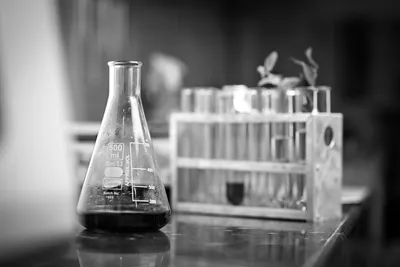 A laboratory flask of dark liquid on a bench, with a rack of test tubes and a few plant cuttings blurred behind it, in black and white.