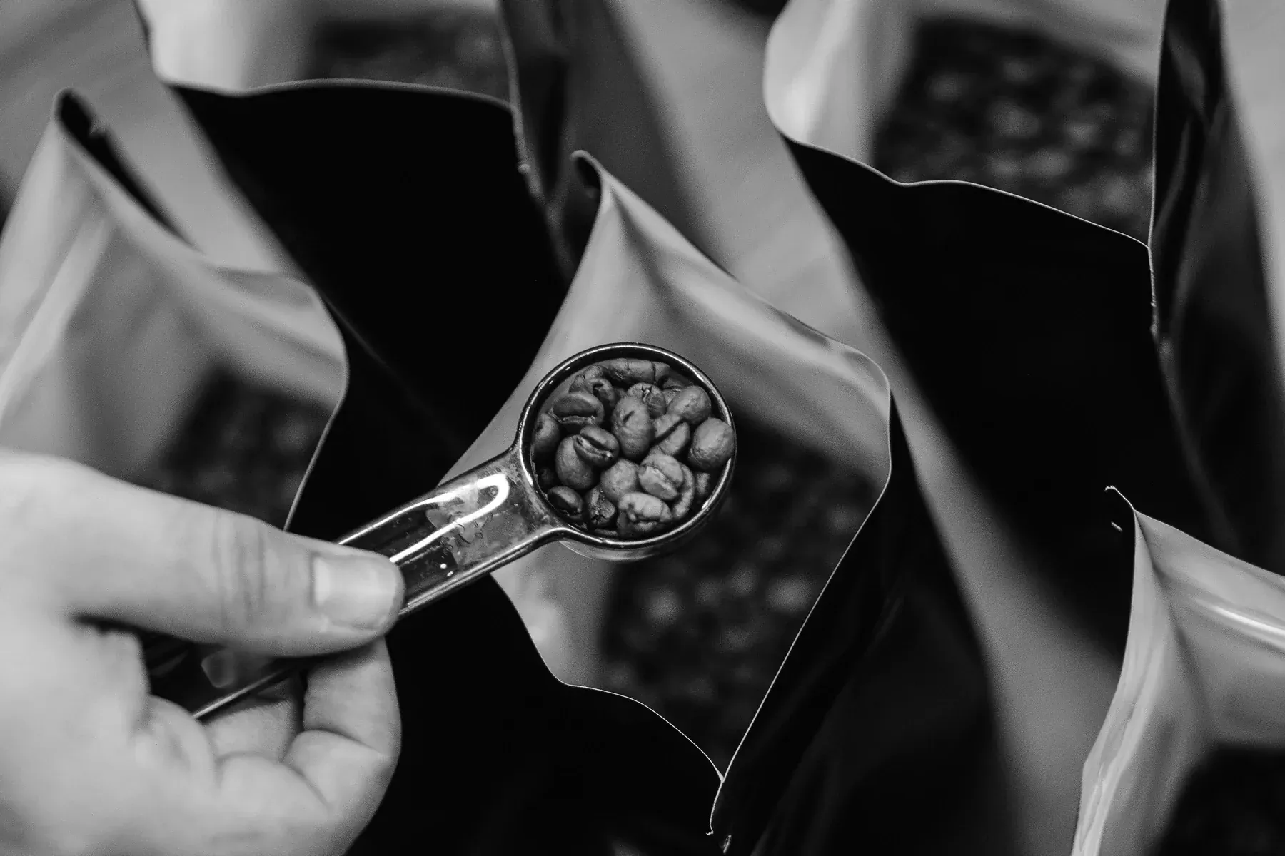 Abstract Numr artwork: one measured scoop of coffee beans held above a grid of open, full bags.
