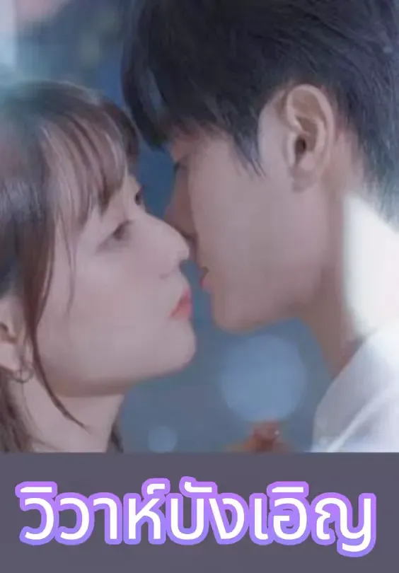 วิวาห์บังเอิญ (พากย์ไทย)