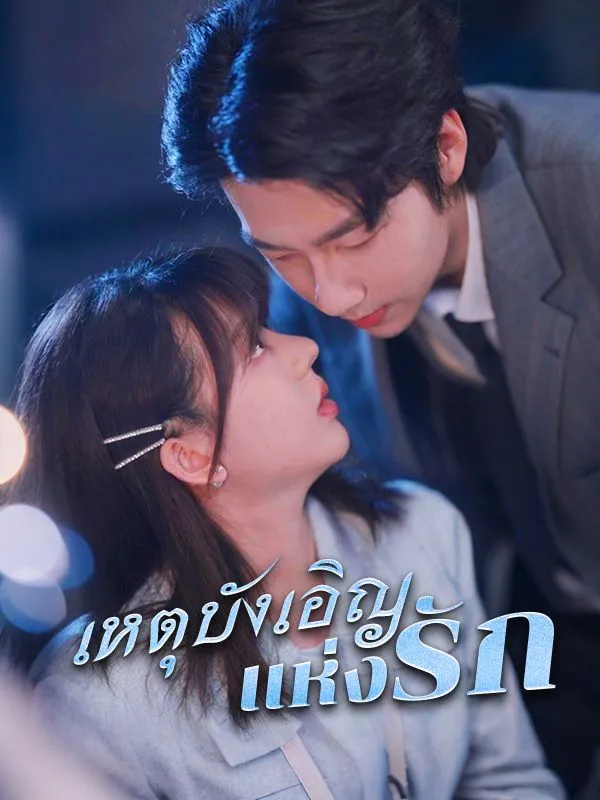 เหตุบังเอิญแห่งรัก (ซับไทย)