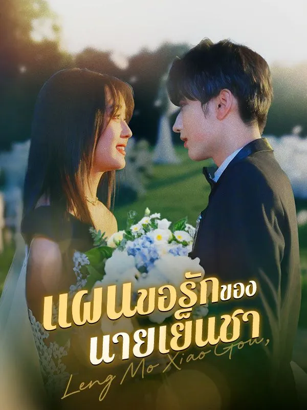 แผนขอรักของนายเย็นชา (ซับไทย)