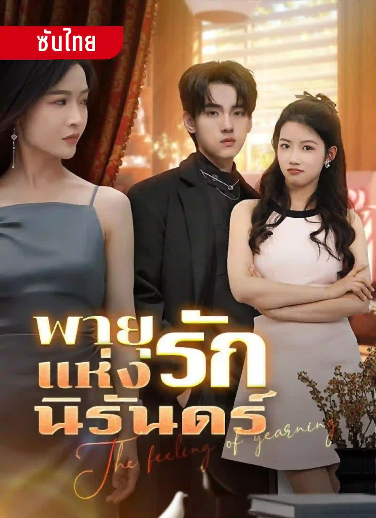 พายุแห่งรักนิรันดร์