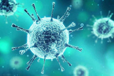 Vaksin Virus Corona Baru Akan Siap Dalam 12 Bulan