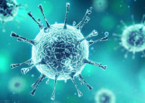 Vaksin Virus Corona Baru Akan Siap Dalam 12 Bulan