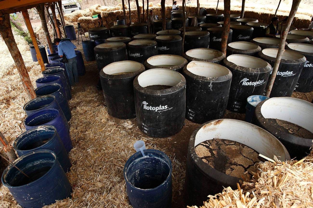 Prevención y uso de drogas: la urgencia de pensar nuevos paradigmas