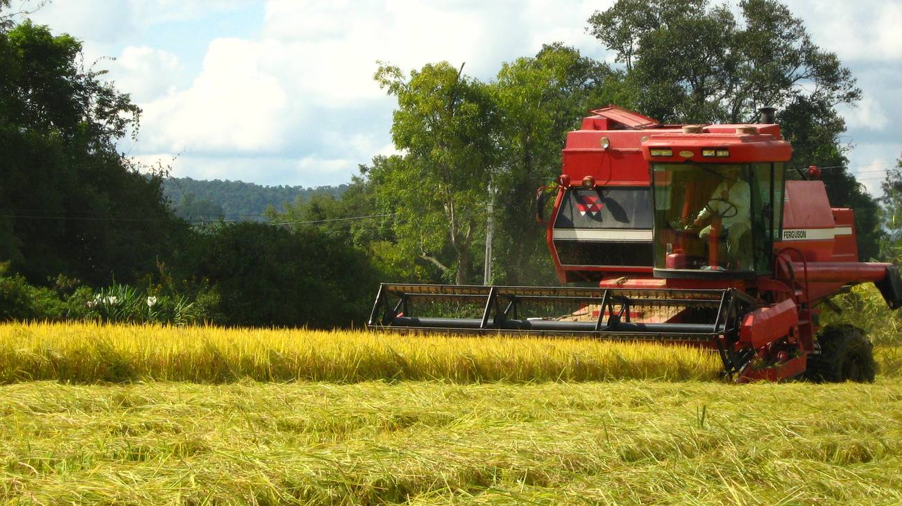 <p>El desafío de la transformación social-ecológica en América Latina</p>  Entrevista a Álvaro Cálix