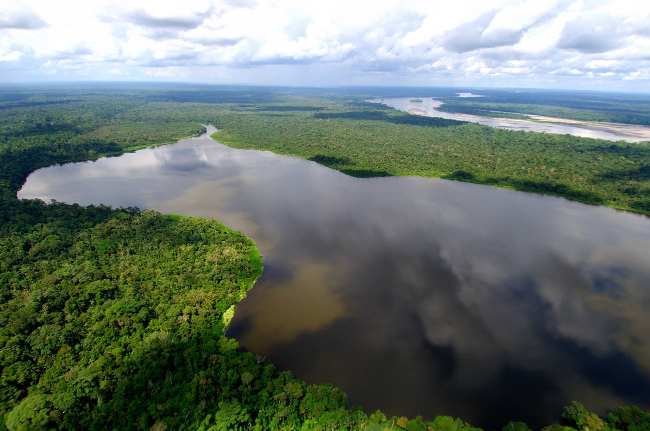 <p>Acción Ecológica: una organización popular ilegalizada en Ecuador</p>