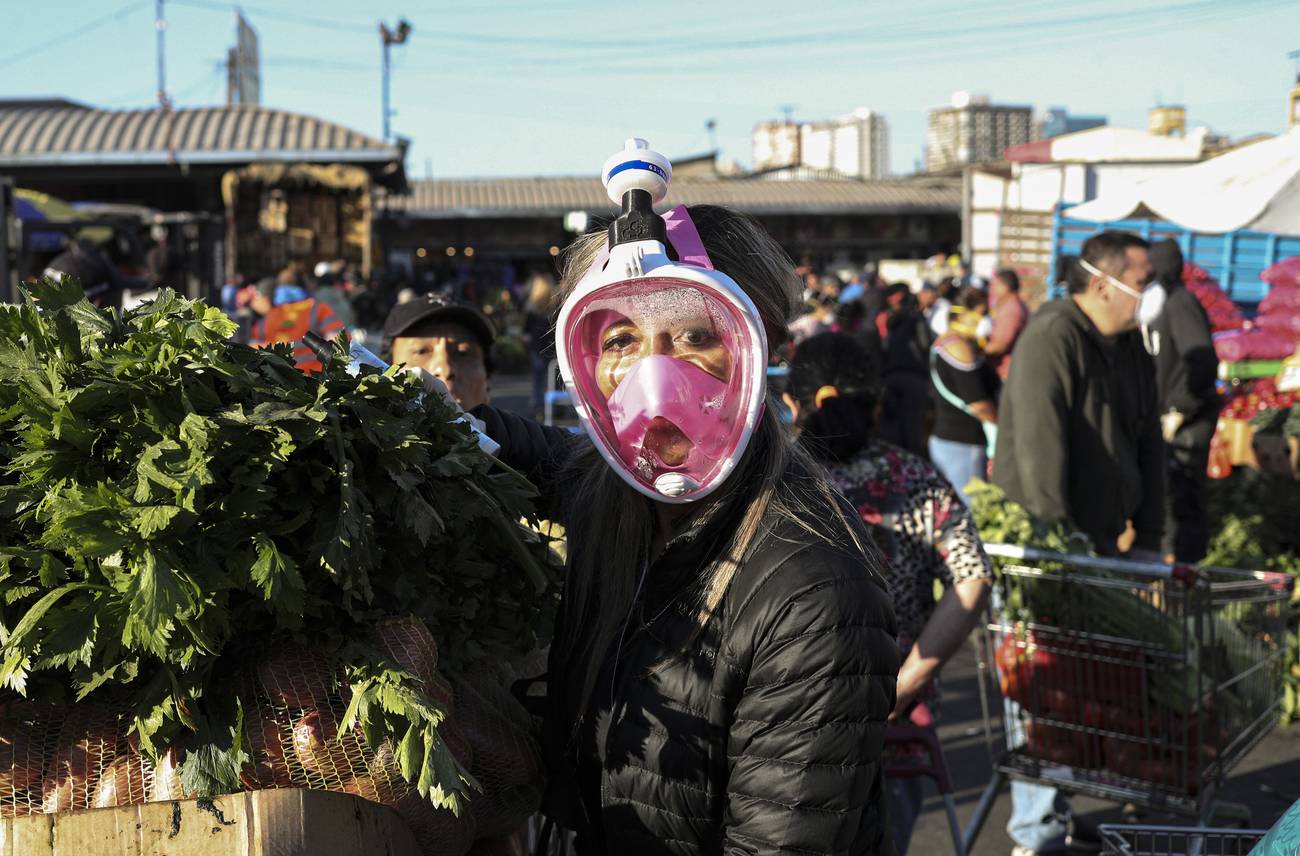 La conciencia del límite  Capitalismo, sustentabilidad y coronavirus