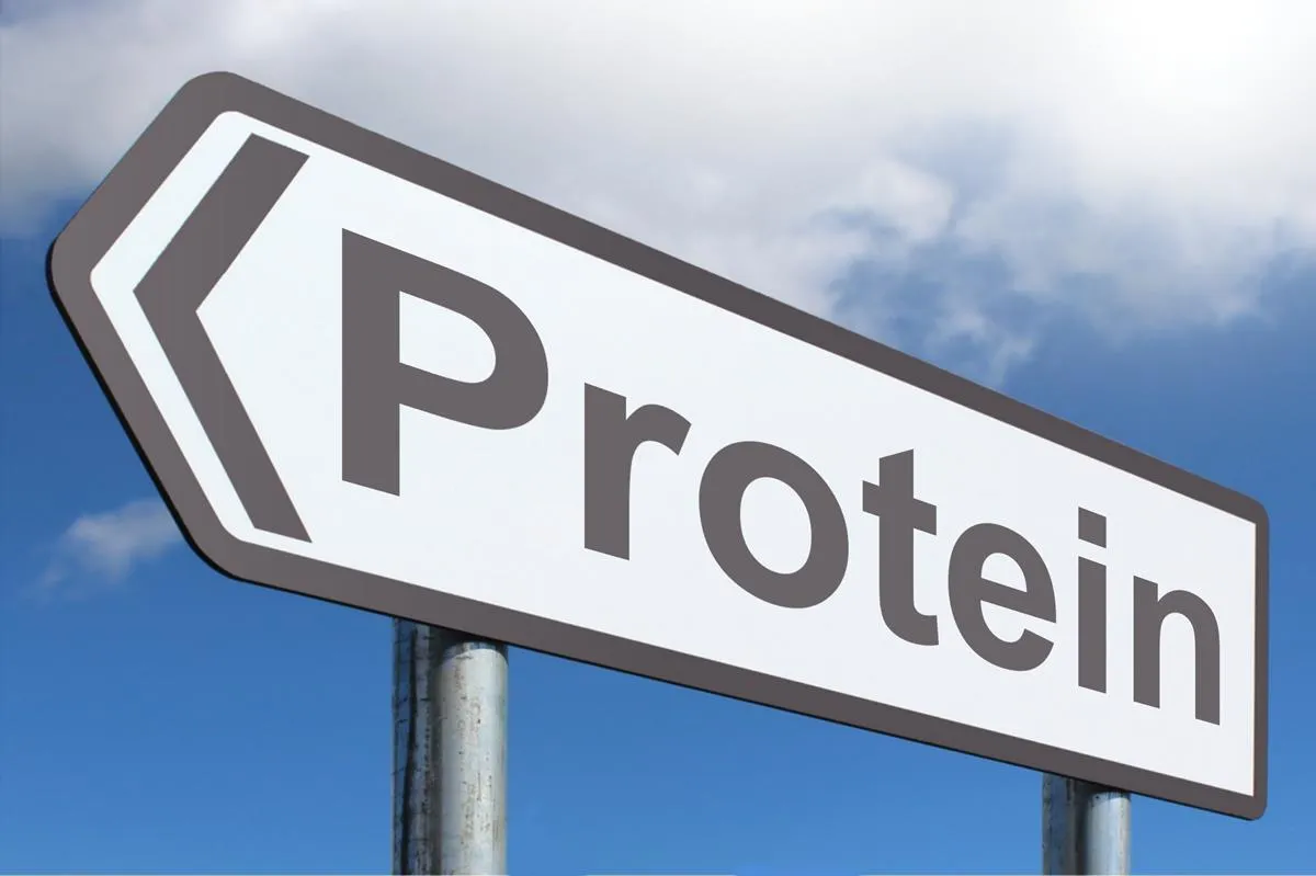 All about PROTEINS