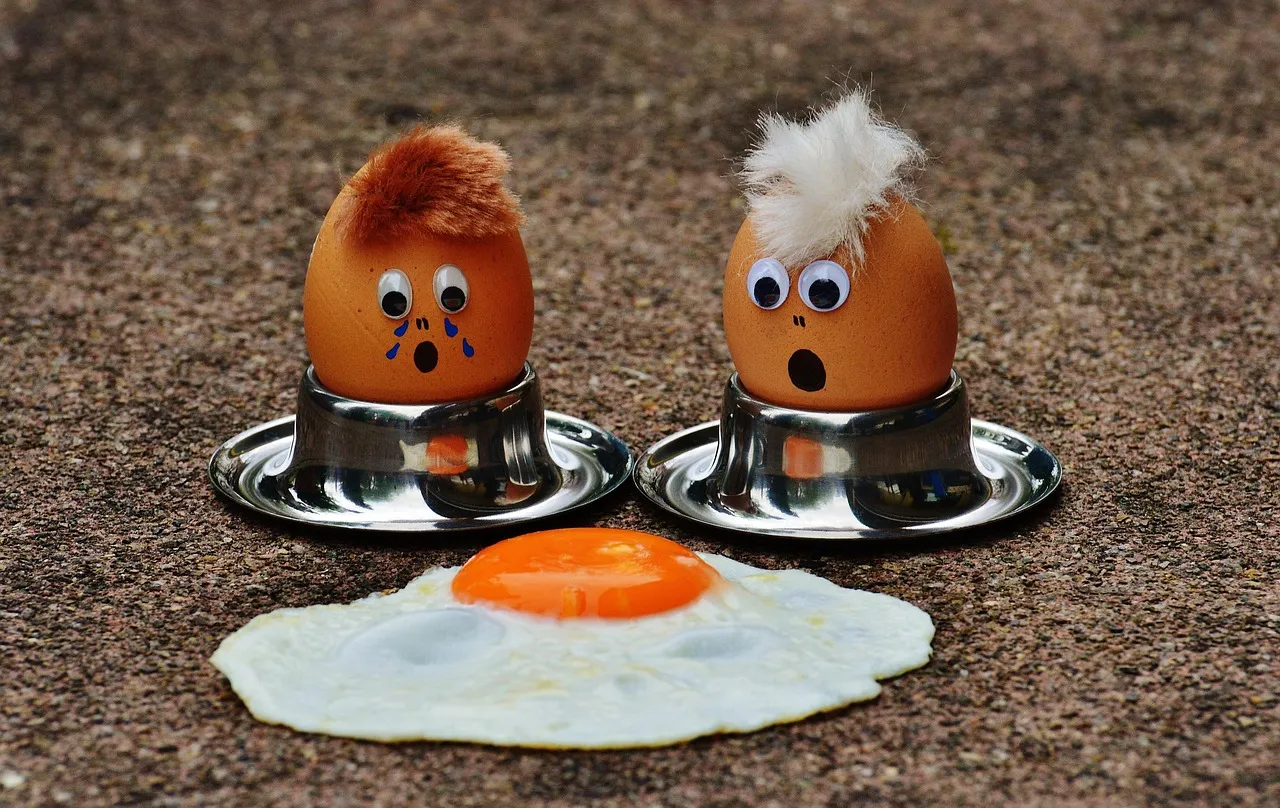 How good is your egg? A Guide to Choosing the Best