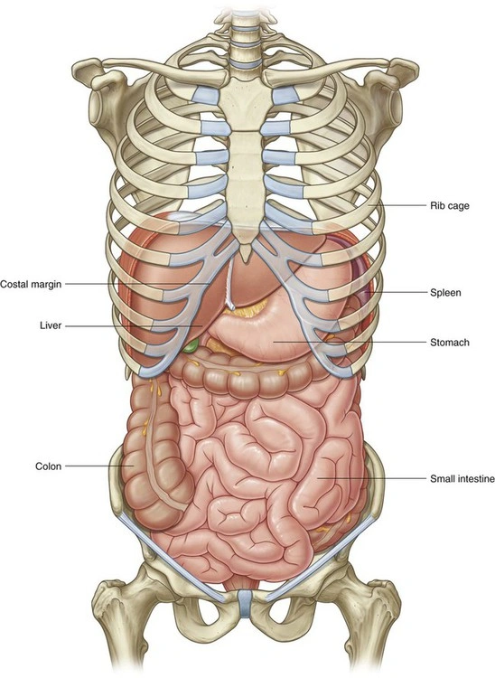 Global Therapy Fizjoerapia - Blog