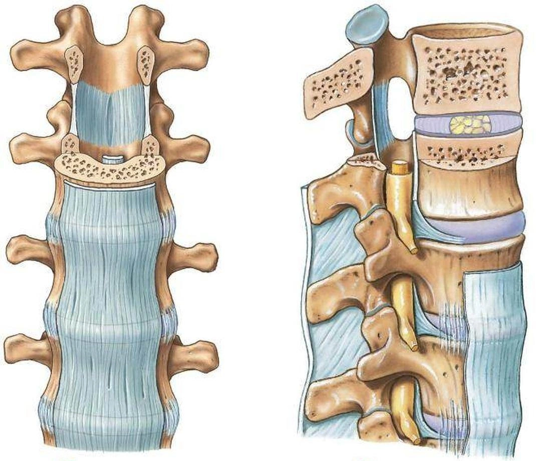 Global Therapy Fizjoerapia - Blog
