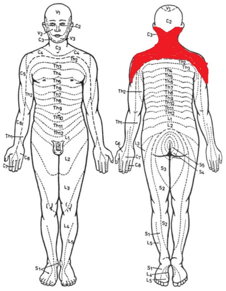 Global Therapy Fizjoerapia - Blog