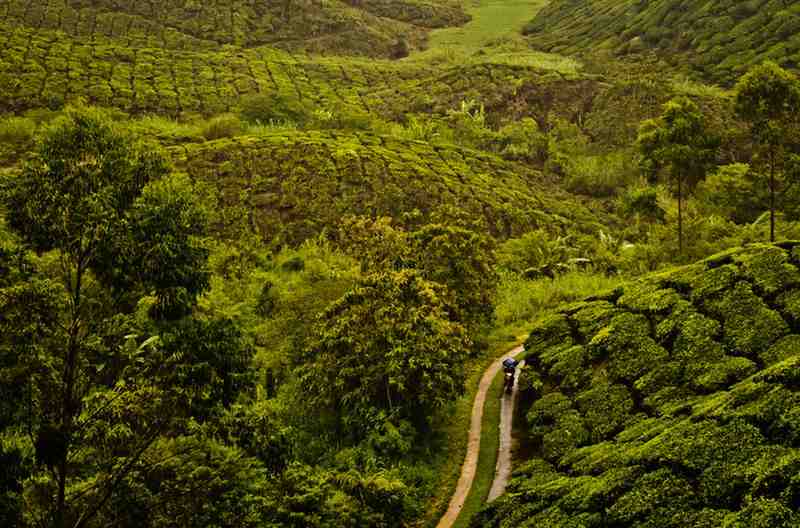 Coorg Karnataka Trip Planner