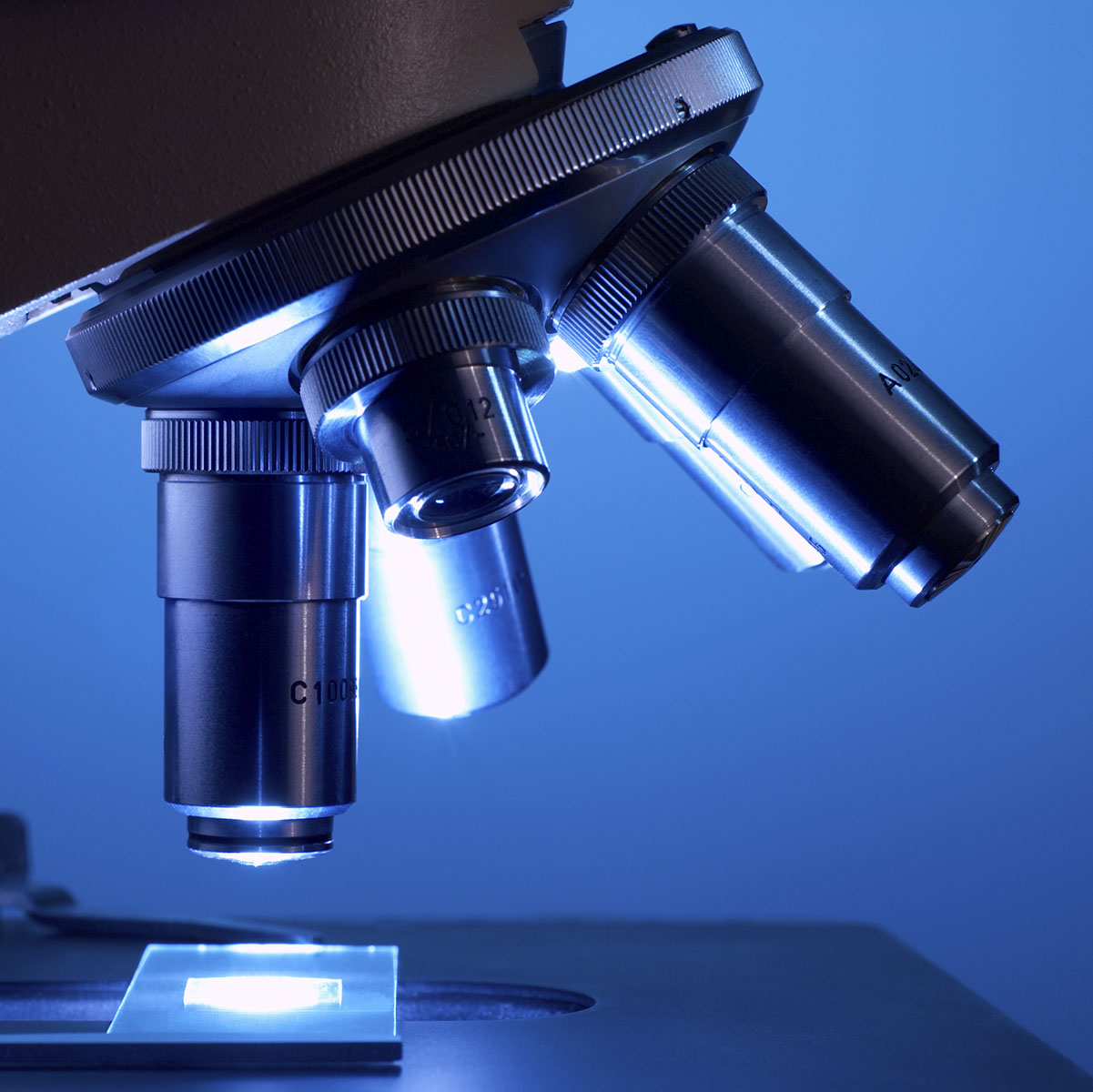 Area Medical and microscopy