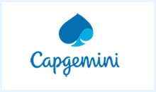 Capgemini uses NetZoom Visio Stencils