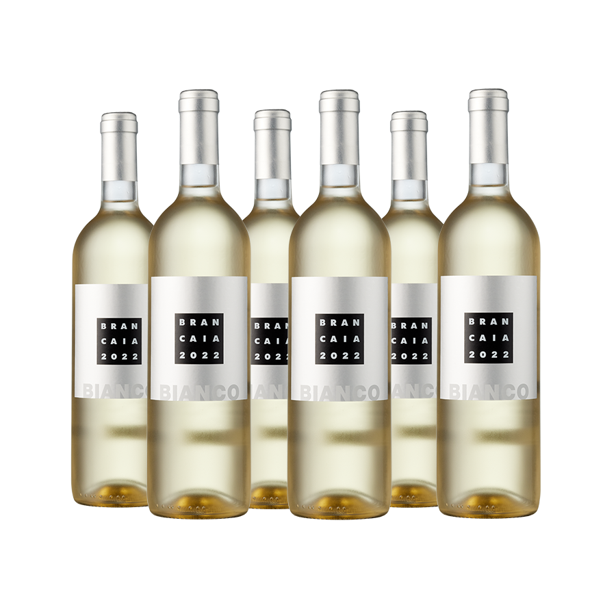 Weinpaket Brancaia il Bianco