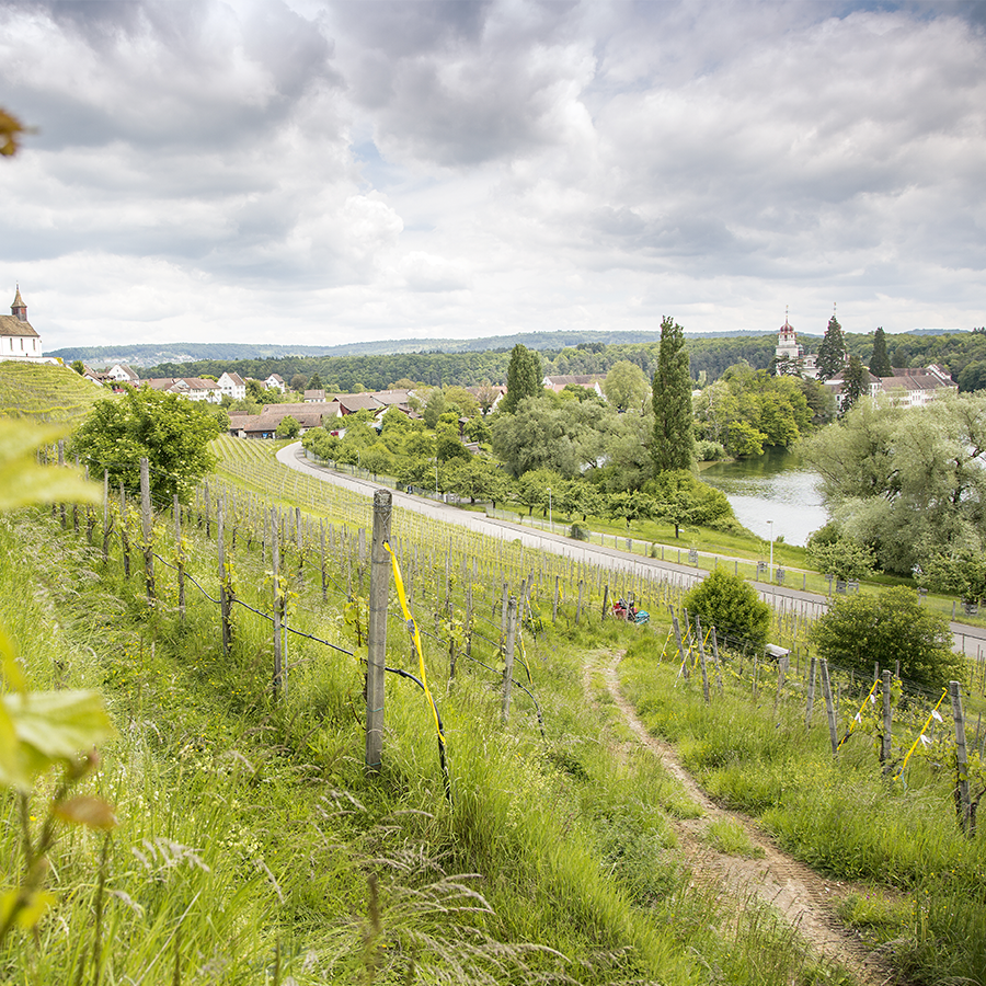 Weinpaket Zürich und Tessin