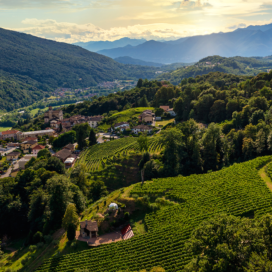 Weinpaket Zürich und Tessin