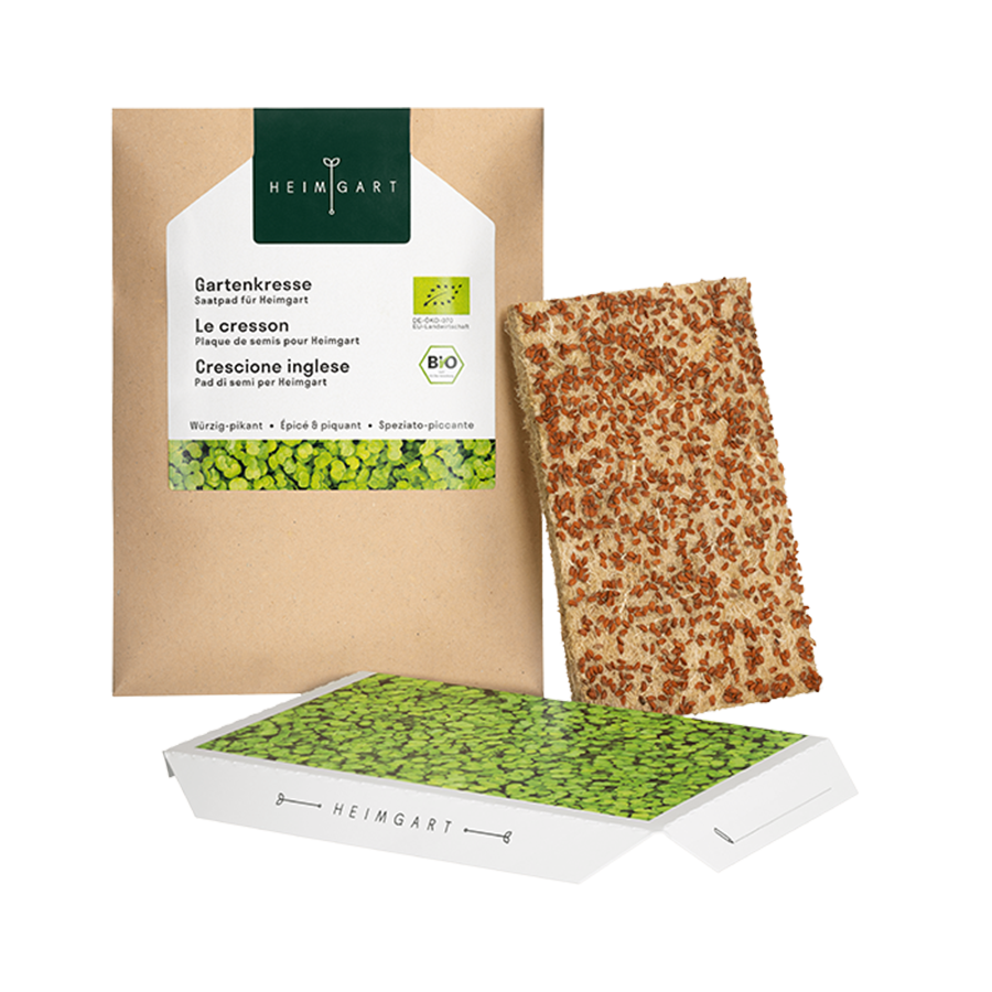 Microgreens Bio-Saatpad Kresse