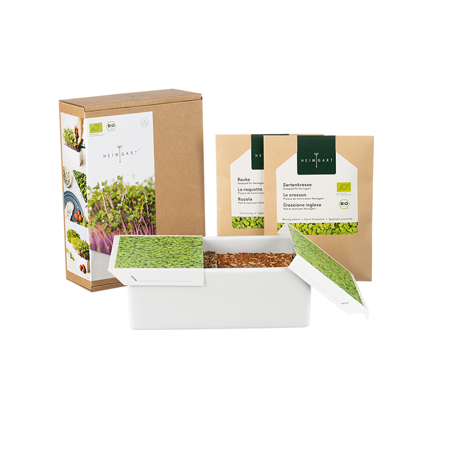 Anzuchtset Starter-Kit Microgreens