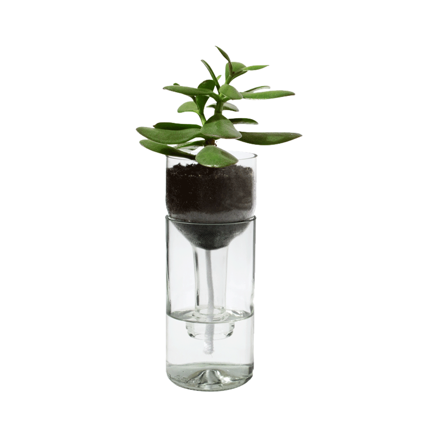 Self Watering Bottle Klar