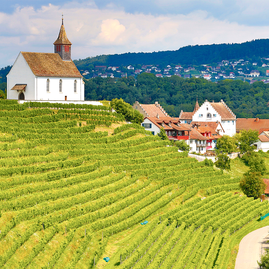 Weinpaket Zürich und Tessin