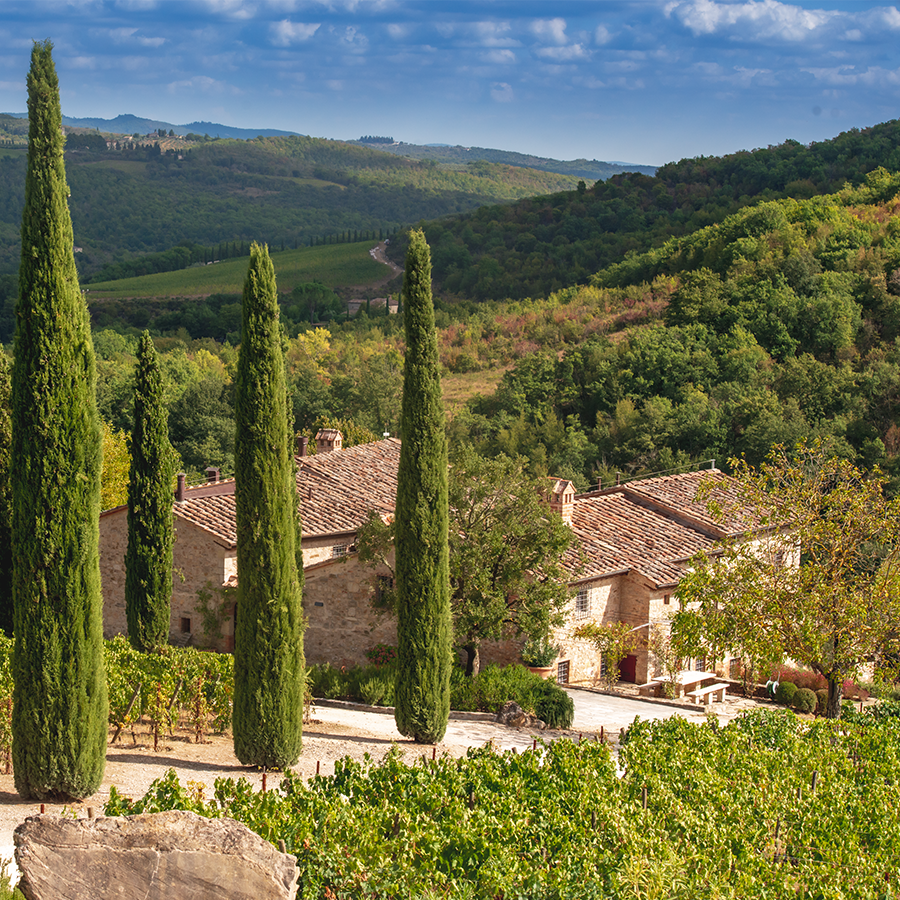 Weinpaket Brancaia il Bianco